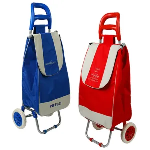 �ְ��� ���� ĳ���� īƮ ��ٱ��� (380x220x960mm)