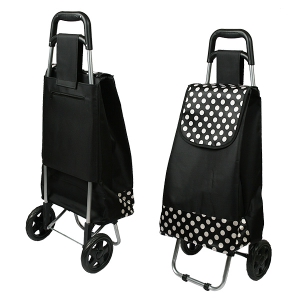 ������ ���� ĳ����