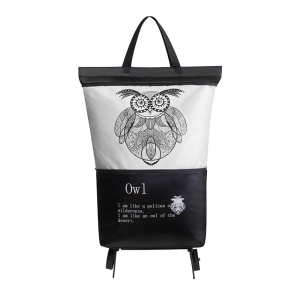 [Blossom] 2  ϷƮ ĳ ٱ 1P