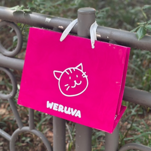 ̼ι_ (350x110x280mm)