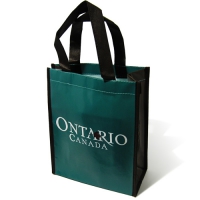 M  _Ÿ (250x100x320mm)