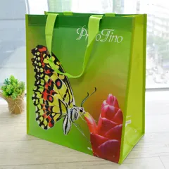부직포가방_나비 (350*190*390mm) 상품 이미지