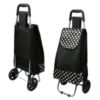 ������ ���� ĳ����