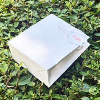 ���̼��ι�_�ǰ���ǰ (250x100x270mm)