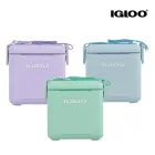 IGLOO �̱۷� �±� ��� �ҽ� ��