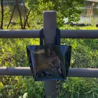 ���ϸ� ������ Ÿ������