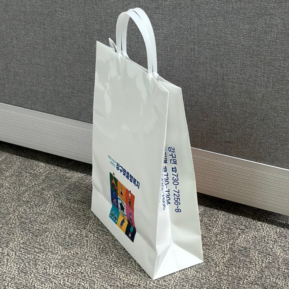 ̼ι_ưư  (300x100x420mm)