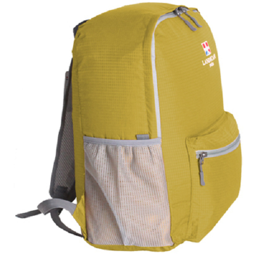 ��ǰ ����