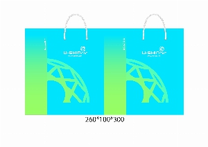 ̼ι | ̼ι_Ǫ 260x100x300mm