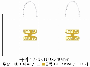 ̼ι |  T3ȣ ȭƮ 250100340mm 1:50
