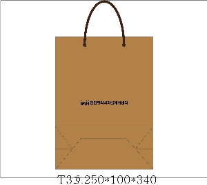 ̼ι |  T3ȣ ȭƮ 250100340mm 1:50