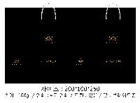 ̼ι |  T3ȣ ȭƮ 250100340mm 1:50