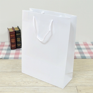 ̼ι |  T3ȣ ȭƮ 250100340mm 1:50