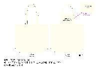 ڹ | ֹ۰ ڹ  390x110x400mm