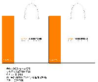 ̼ι | ̼ι_޸ũ 150x60x210mm