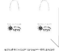 ̼ι |  T3ȣ ȭƮ 250100340mm 1:50