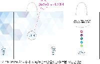 ̼ι | ̼ι_Ʈȸ 300x120x400mm