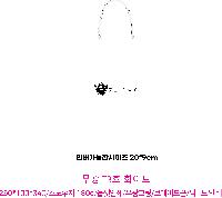 ̼ι |  T3ȣ ȭƮ 250100340mm 1:50