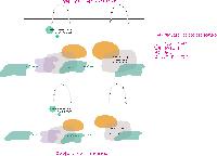 ̼ι | ̼ι_Ȱ 260x100x260mm